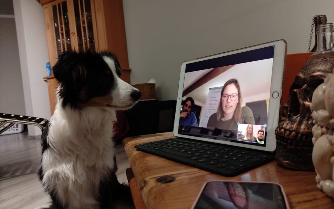 Basiswissen Hund