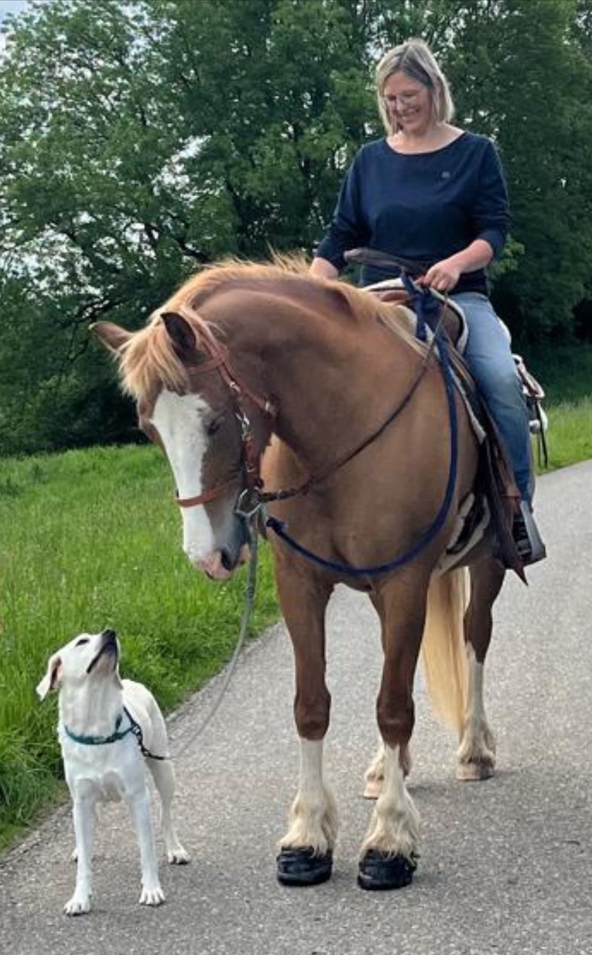 hundeschule-pferd-hund-mensch-ravensburg Yvonne Rauch Hundetrainerin Ravensburg Weingarten
