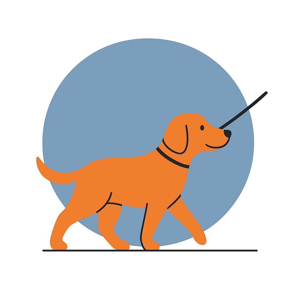 Alltagstrainung für Hunde in Ravensburg Alltagstrainung für Hunde