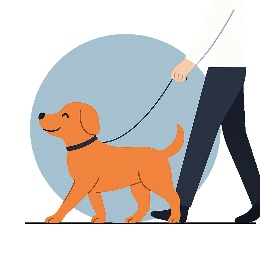 Alltagstrainung für Hunde