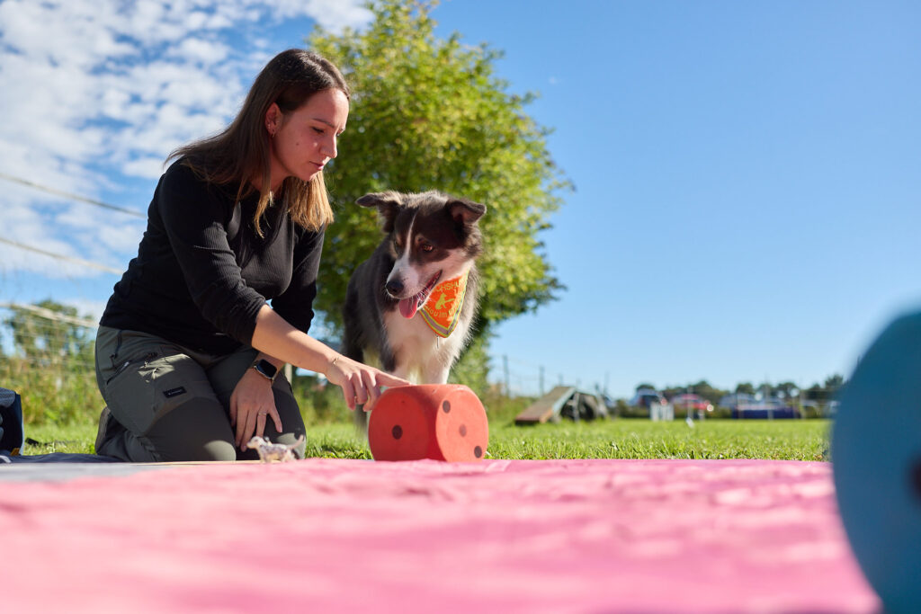 Hundeschule Ravensburg Oberschwaben