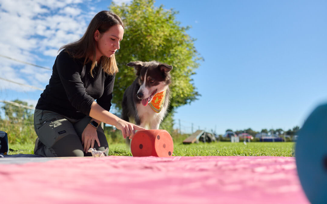 Neue Wege im Hundetraining: Therapie-, Schul- und Besuchshundeausbildung in Ravensburg